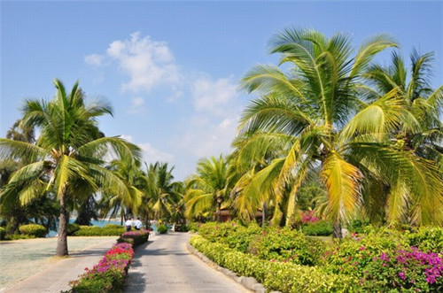 罗定市创业零食加盟店品牌排行榜