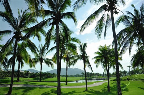 迷你小冰箱加盟投资开店哪些项目还能做