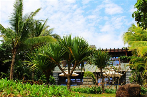 磁县开店薰衣草精油加盟排行榜前十名加盟费，磁县薰衣草庄园门票多少钱