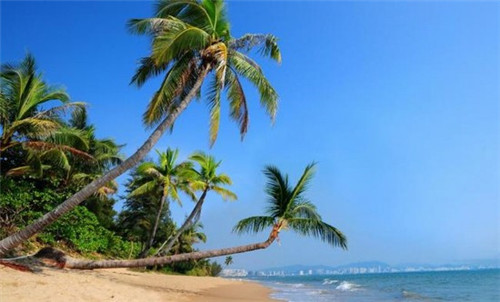 马边彝族自治县开店智能摄像头加盟店品牌排行榜