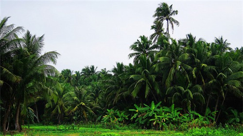 健身服加盟品牌有哪些，健身服品牌有哪些比较好?
