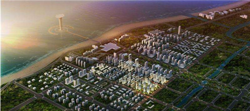 炒豆角炒鸡腿肉怎么炒（豆角炒鸡肉图片）