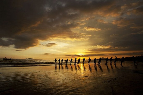 启赋蓝钻含有转基因（启赋蓝钻是进口奶粉吗）