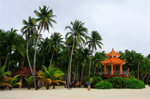 河南蜜枣加盟投资开店哪些品牌受欢迎（中国蜜枣之乡在哪里）